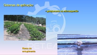 • gotejamentooumicroaspersão
Riscos de
entupimento
Sistemas deaplicação:
 