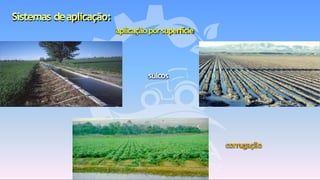 Sistemas deaplicação:
aplicação porsuperfície
sulcos
corrugação
 