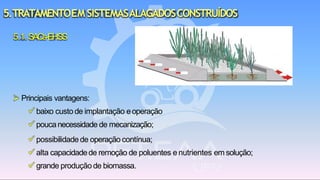 5.TRATAMENTOEMSISTEMASALAGADOSCONSTRUÍDOS
5.1.SACs-EHSS
➢ Principais vantagens:
✓ baixo custo de implantação eoperação
✓ poucanecessidade de mecanização;
✓ possibilidade de operação contínua;
✓ alta capacidadede remoção de poluentes enutrientes em solução;
✓ grande produção de biomassa.
 