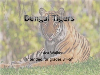 Jessica Walker
Intended for grades 3rd-6th
 