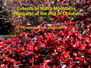 Colours of Matra Mountains (Hungary) at the end of October Prepared by Ivan Szedo, 2007 