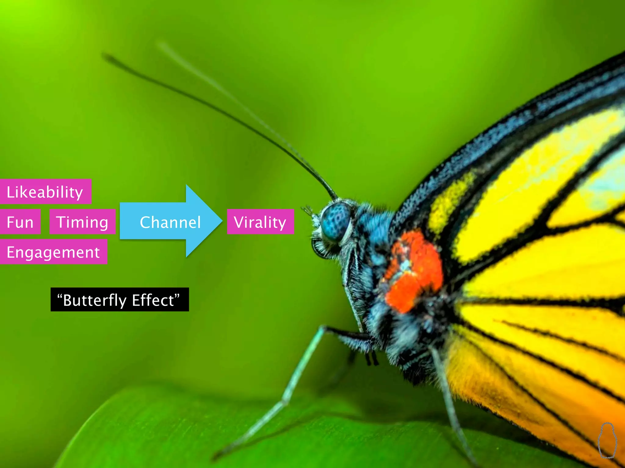 Likeability
Fun    Timing      Channel   Virality
Engagement


       “Butterfly Effect”
 