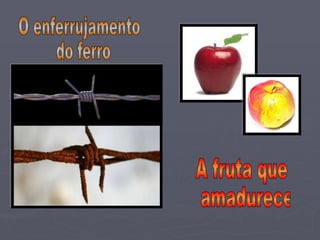 A fruta que amadurece  O enferrujamento do ferro 