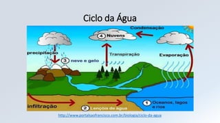 Ciclo da Água
http://www.portalsaofrancisco.com.br/biologia/ciclo-da-agua
 