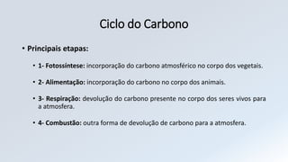 Ciclo do Carbono
• Principais etapas:
• 1- Fotossíntese: incorporação do carbono atmosférico no corpo dos vegetais.
• 2- Alimentação: incorporação do carbono no corpo dos animais.
• 3- Respiração: devolução do carbono presente no corpo dos seres vivos para
a atmosfera.
• 4- Combustão: outra forma de devolução de carbono para a atmosfera.
 