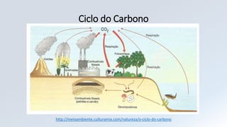 Ciclo do Carbono
http://meioambiente.culturamix.com/natureza/o-ciclo-do-carbono
 