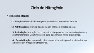 Ciclo do Nitrogênio
• Principais etapas:
• 1- Fixação: conversão do nitrogênio atmosférico em amônia no solo.
• 2- Nitrificação: conversão da amônia em nitritos e nitratos no solo.
• 3- Assimilação: absorção dos compostos nitrogenados por parte das plantas e
sua transferência, via alimentação, para os animais e micro-organismos.
• 4- Desnitrificação: conversão dos compostos nitrogenados deixados no
ambiente em nitrogênio atmosférico.
 