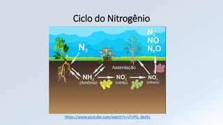 Ciclo do Nitrogênio
https://www.youtube.com/watch?v=LPzPQ_dkdXs
 