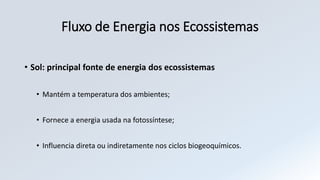 Fluxo de Energia nos Ecossistemas
• Sol: principal fonte de energia dos ecossistemas
• Mantém a temperatura dos ambientes;
• Fornece a energia usada na fotossíntese;
• Influencia direta ou indiretamente nos ciclos biogeoquímicos.
 