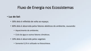 • Luz do Sol:
• 30% dela é refletida de volta ao espaço;
• 60% dela é absorvida pelos fatores abióticos do ambiente, causando:
• Aquecimento do ambiente;
• Ciclo da água e outros fatores climáticos.
• 10% dela é absorvido pelos vegetais:
• Somente 0,1% é utilizado na fotossíntese.
Fluxo de Energia nos Ecossistemas
 
