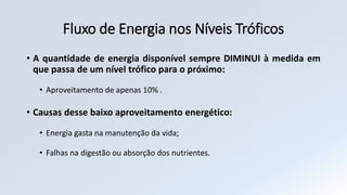 Fluxo de Energia nos Níveis Tróficos
• A quantidade de energia disponível sempre DIMINUI à medida em
que passa de um nível trófico para o próximo:
• Aproveitamento de apenas 10% .
• Causas desse baixo aproveitamento energético:
• Energia gasta na manutenção da vida;
• Falhas na digestão ou absorção dos nutrientes.
 