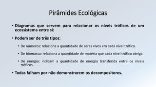 Pirâmides Ecológicas
• Diagramas que servem para relacionar os níveis tróficos de um
ecossistema entre si:
• Podem ser de três tipos:
• De números: relaciona a quantidade de seres vivos em cada nível trófico.
• De biomassa: relaciona a quantidade de matéria que cada nível trófico abriga.
• De energia: indicam a quantidade de energia transferida entre os níveis
tróficos.
• Todas falham por não demonstrarem os decompositores.
 