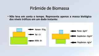 Pirâmide de Biomassa
• Não leva em conta o tempo. Representa apenas a massa biológica
dos níveis tróficos em um dado instante:
 
