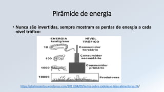 Pirâmide de energia
• Nunca são invertidas, sempre mostram as perdas de energia a cada
nível trófico:
https://djalmasantos.wordpress.com/2011/04/09/testes-sobre-cadeias-e-teias-alimentares-24/
 
