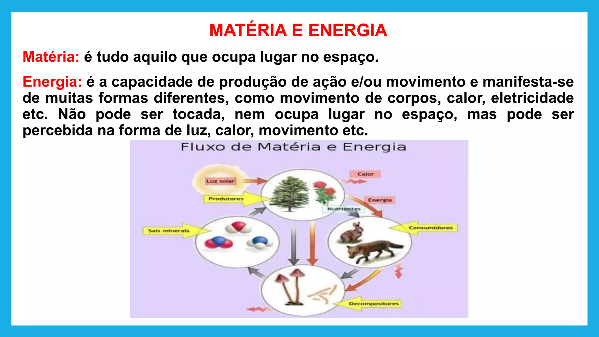 Matéria e Energia nos seres vivos.pptx