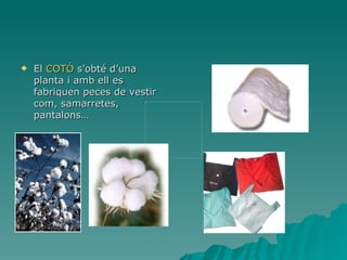 <ul><li>El  COTÓ  s’obté d’una planta i amb ell es fabriquen peces de vestir com, samarretes, pantalons… </li></ul>