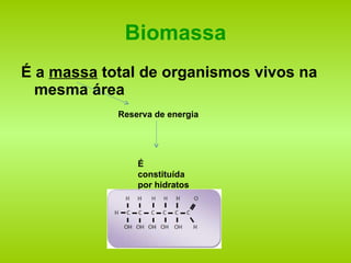 Biomassa É a  massa  total de organismos vivos na mesma área Reserva de energia É constituída por hidratos de Carbono 