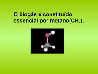O biogás é constituído essencial por metano(CH 4 ). 