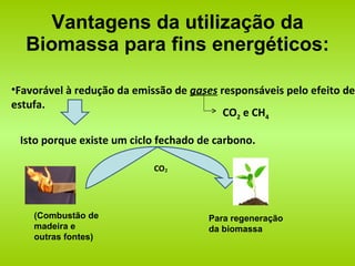 Vantagens da utilização da Biomassa para fins energéticos: Favorável à redução da emissão de  gases  responsáveis pelo efeito de estufa.  CO 2  e CH 4 Isto porque existe um ciclo fechado de carbono. (Combustão de madeira e outras fontes) Para regeneração da biomassa CO ₂ 