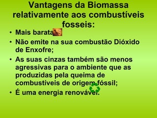 Vantagens da Biomassa relativamente aos combustíveis fosseis: Mais barata; Não emite na sua combustão Dióxido de Enxofre; As suas cinzas também são menos agressivas para o ambiente que as produzidas pela queima de combustíveis de origem fóssil; É uma energia renovável. 