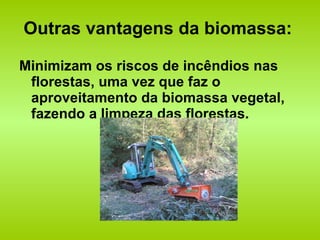 Outras vantagens da biomassa: Minimizam os riscos de incêndios nas florestas, uma vez que faz o aproveitamento da biomassa vegetal, fazendo a limpeza das florestas. 