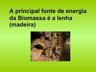 A principal fonte de energia da Biomassa é a lenha (madeira) 