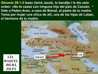 Génesis 28:1-2 Isaac llamó Jacob, lo bendijo l le dio esta
orden: «No te cases con ninguna hija del país de Canaán. 2
Vete a Padan-Aran, a casa de Betuel, el padre de tu madre.
Toma por mujer una chica de allí, una de las hijas de Laban,
el hermano de tu madre.

LÍA
RAQUEL
BILHÁ
ZILPÁ

ISRAEL

UR

 