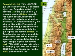 Genesis 29:31-35 31 Vio el SEÑOR
que Lía era aborrecida, y le concedió
hijos; pero Raquel era estéril. 32 Y
concibió Lía y dio a luz un hijo, y le
puso por nombre Rubén, pues dijo:
Por cuanto el SEÑOR ha visto mi
aflicción, sin duda ahora mi marido
me amará. 33 Concibió de nuevo y dio
a luz un hijo, y dijo: Por cuanto el
SEÑOR ha oído que soy aborrecida,
me ha dado también este hijo. Así
que le puso por nombre Simeón. 34
Concibió otra vez y dio a luz un hijo,
y dijo: Ahora esta vez mi marido se
apegará a mí, porque le he dado tres
hijos. Así que le puso por nombre
Leví. 35 Concibió una vez más y dio a
luz un hijo, y dijo: Esta vez alabaré al
SEÑOR; así que le puso por nombre
Judá; y dejó de dar a luz.

LIA

RUBÈN
LEVÍ
JUDÀ

SIMEÓN

 