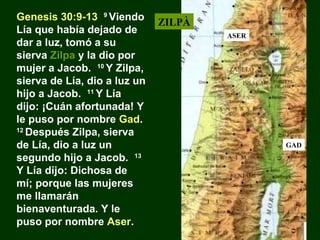 Genesis 30:9-13 9 Viendo
Lía que había dejado de
dar a luz, tomó a su
sierva Zilpa y la dio por
mujer a Jacob. 10 Y Zilpa,
sierva de Lía, dio a luz un
hijo a Jacob. 11 Y Lía
dijo: ¡Cuán afortunada! Y
le puso por nombre Gad.
12
Después Zilpa, sierva
de Lía, dio a luz un
segundo hijo a Jacob. 13
Y Lía dijo: Dichosa de
mí; porque las mujeres
me llamarán
bienaventurada. Y le
puso por nombre Aser.

ZILPÀ
ASER

GAD

 