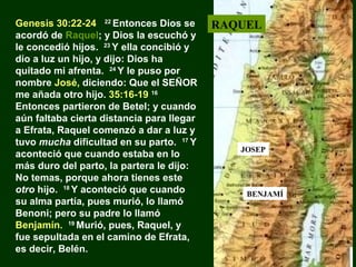 Genesis 30:22-24 22 Entonces Dios se
acordó de Raquel; y Dios la escuchó y
le concedió hijos. 23 Y ella concibió y
dio a luz un hijo, y dijo: Dios ha
quitado mi afrenta. 24 Y le puso por
nombre José, diciendo: Que el SEÑOR
me añada otro hijo. 35:16-19 16
Entonces partieron de Betel; y cuando
aún faltaba cierta distancia para llegar
a Efrata, Raquel comenzó a dar a luz y
tuvo mucha dificultad en su parto. 17 Y
aconteció que cuando estaba en lo
más duro del parto, la partera le dijo:
No temas, porque ahora tienes este
otro hijo. 18 Y aconteció que cuando
su alma partía, pues murió, lo llamó
Benoni; pero su padre lo llamó
Benjamín. 19 Murió, pues, Raquel, y
fue sepultada en el camino de Efrata,
es decir, Belén.

RAQUEL

JOSEP

BENJAMÍ

 