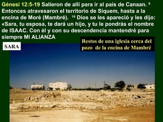 Génesi 12:5-19 Salieron de allí para ir al país de Canaan. 6
Entonces atravesaron el territorio de Siquem, hasta a la
encina de Morè (Mambré). 19 Dios se les apareció y les dijo:
«Sara, tu esposa, te dará un hijo, y tu le pondrás el nombre
de ISAAC. Con él y con su descendencia mantendré para
siempre MI ALIANZA
Restos de una iglesia cerca del
SARA
pozo de la encina de Mambré

 