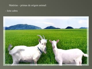 Matérias – primas de origem animal:

- leite cabra
 