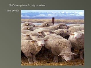 Matérias – primas de origem animal:

- leite ovelha
 