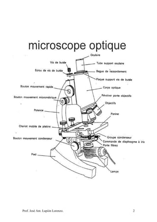 Prof. José Ant. Lupión Lorenzo. 2
 