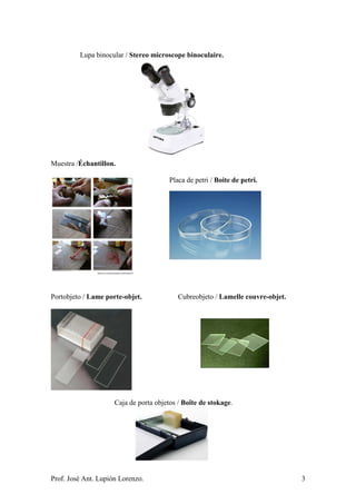 Prof. José Ant. Lupión Lorenzo. 3
Lupa binocular / Stereo microscope binoculaire.
Muestra /Échantillon.
Placa de petri / Boite de petri.
Portobjeto / Lame porte-objet. Cubreobjeto / Lamelle couvre-objet.
Caja de porta objetos / Boîte de stokage.
 