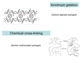 Ionotropic gelation
Chemical cross-linking
Calcium alginate hydrogels
Dextran methacrylate hydrogels
 