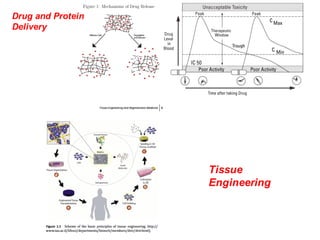 Drug and Protein
Delivery
Tissue
Engineering
 