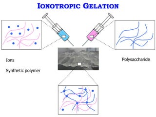 IONOTROPIC GELATION
Ions
Synthetic polymer
Polysaccharide
 