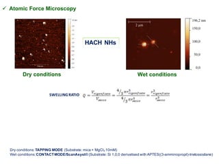 HACH NHs
Dry conditions
SWELLING	RATIO
ü Atomic Force Microscopy
Wet conditions
Dry conditions:TAPPING MODE (Substrate: mica + MgCl₂ 10mM)
Wet conditions:CONTACTMODE/ScanAsyst® (Substrate: Si 1,0,0 derivatised with APTES((3-amminopropil)-trietossisilane)
 