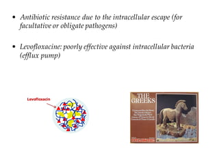 • Antibiotic resistance due to the intracellular escape (for
facultative or obligate pathogens)
• Levofloxacine: poorly effective against intracellular bacteria
(efflux pump)
Levofloxacin
 