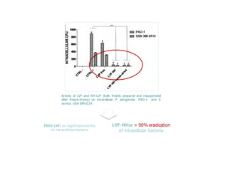 FREE LVF: no significant activity
on intracellular bacteria
Activity of LVF and NH-LVF (both freshly prepared and resuspended
after freeze-drying) on intracellular P. aeruginosa PAO-1 and S.
aureus USA 300-0114.
LVF-NHs: > 90% eradication
of intracellular bacteria
 