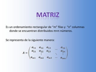 Matriz Es un ordenamiento rectangular de “m” filas y  “n” columnas donde se encuentran distribuidos m×n números. Se representa de la siguiente manera: 