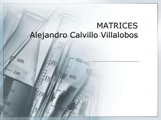 MATRICESAlejandro Calvillo Villalobos 