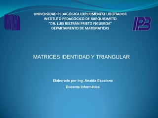 UNIVERSIDAD PEDAGÓGICA EXPERIMENTAL LIBERTADORINSTITUTO PEDAGÓGICO DE BARQUISIMETO“DR. LUIS BELTRÁN PRIETO FIGUEROA”DEPARTAMENTO DE MATEMATICAS MATRICES IDENTIDAD Y TRIANGULARElaborado por Ing. Anaida EscalonaDocente Informática