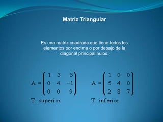 Matriz TriangularEs una matriz cuadrada que tiene todos los elementos por encima o por debajo de la diagonal principal nulos.