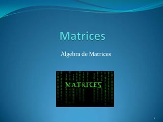 Álgebra de Matrices




                      1
 