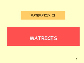 MATRICES MATEMÁTICA  II 
