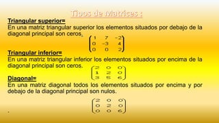 Matriz Diagonal Inferior Matrices | PPTX