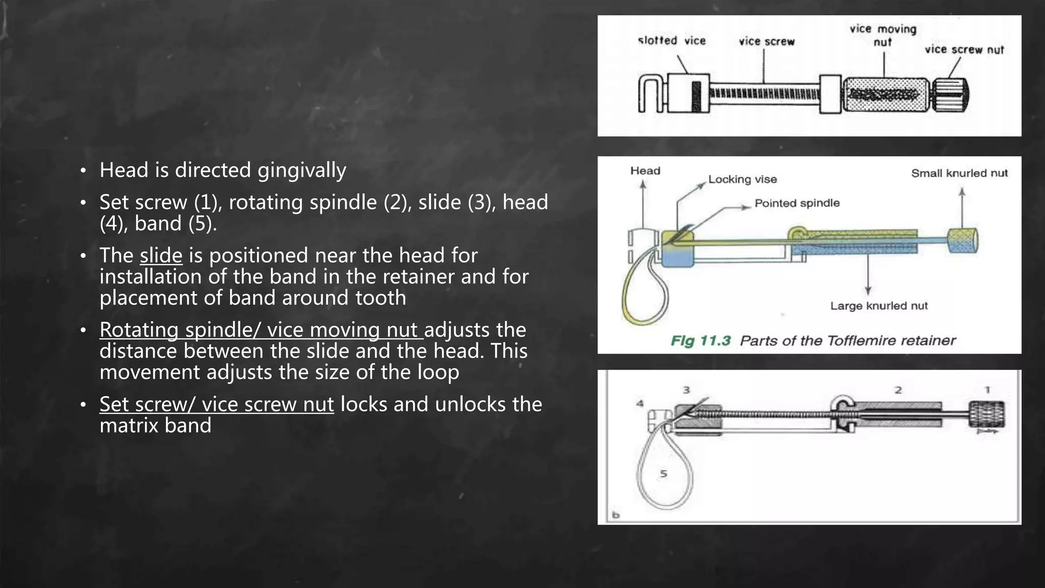 • Head is directed gingivally
• Set screw (1), rotating spindle (2), slide (3), head
(4), band (5).
• The slide is positioned near the head for
installation of the band in the retainer and for
placement of band around tooth
• Rotating spindle/ vice moving nut adjusts the
distance between the slide and the head. This
movement adjusts the size of the loop
• Set screw/ vice screw nut locks and unlocks the
matrix band
 