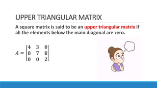 MATRICES_STANDARD11_AngelselciyaB.ed.pptx